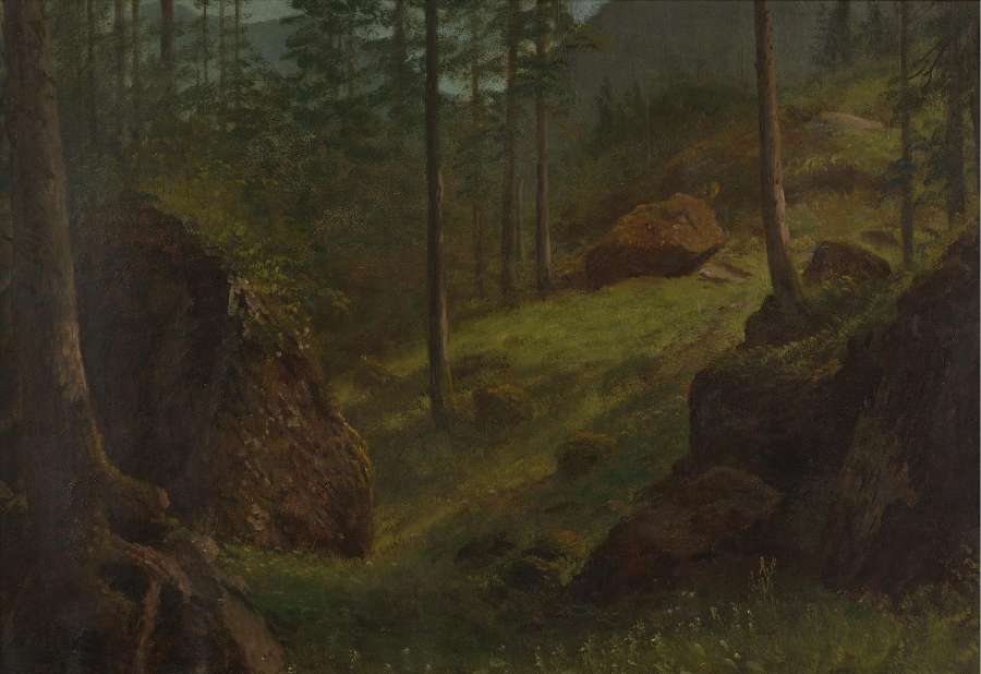 Wooded Hillside by Albert Bierstadt