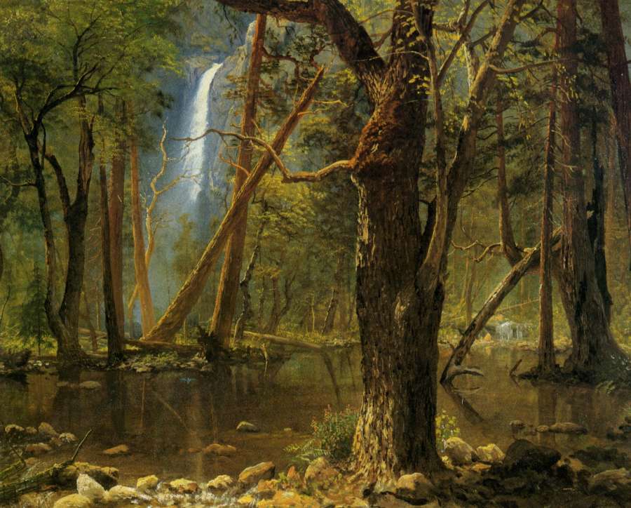 View in Yosemite Valley by Albert Bierstadt