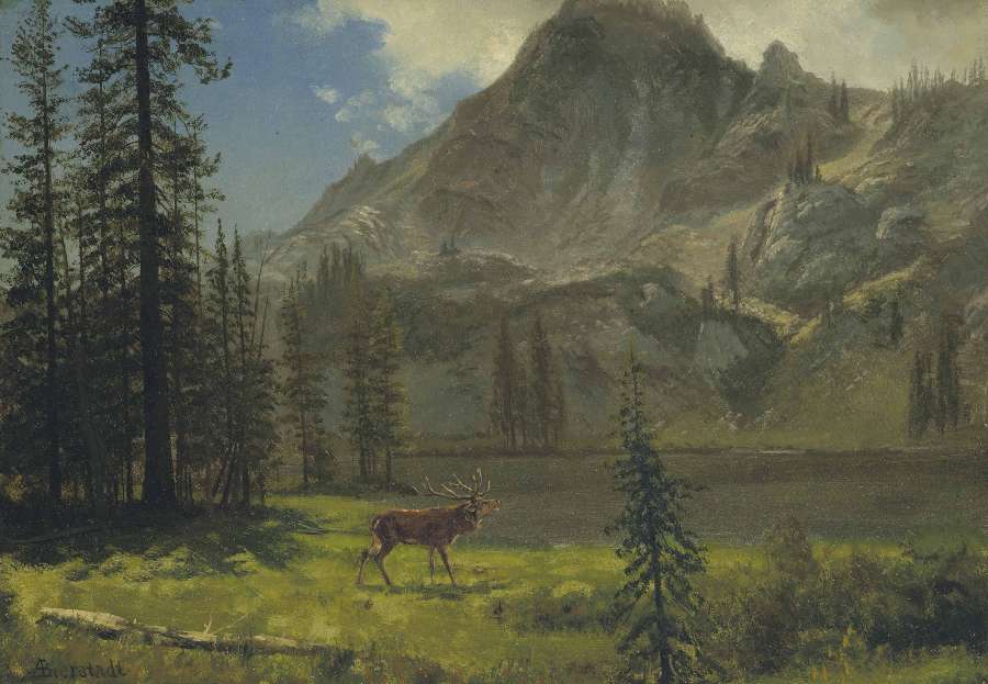Call Of The Wild by Albert Bierstadt