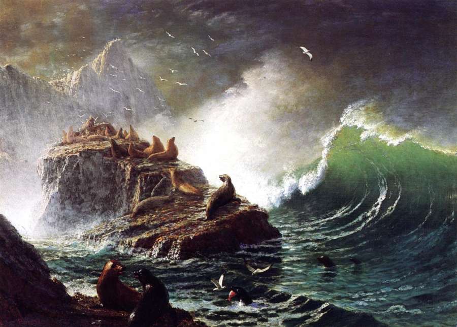 Seals On The Rocks  Farallon Islands by Albert Bierstadt