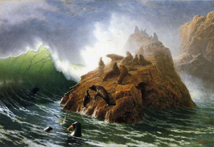 Seal Rock 1872 by Albert Bierstadt