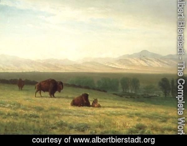 Albert Bierstadt - Buffalo on the Plains, c.1890
