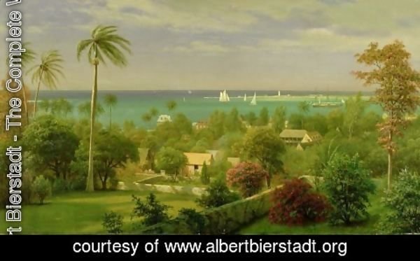 Albert Bierstadt - Panoramic View of the Harbour at Nassau in the Bahamas