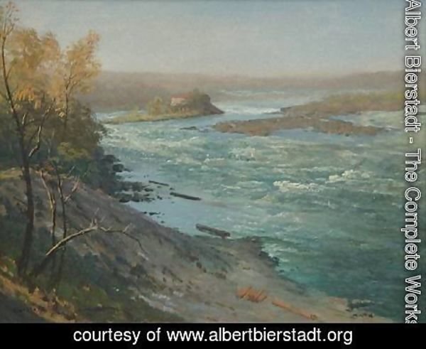 Albert Bierstadt - Upper Rapids, Niagara Falls