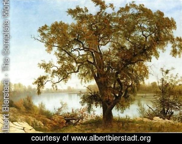 Albert Bierstadt - A View from Sacramento