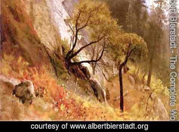Albert Bierstadt - Landscape Study: Yosemite, California