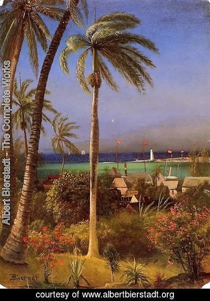 Albert Bierstadt - Bahamian View
