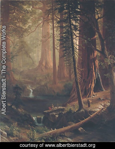 Albert Bierstadt - Giant Redwood Trees of California