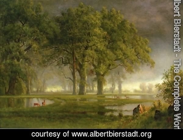 Albert Bierstadt - Sunglow