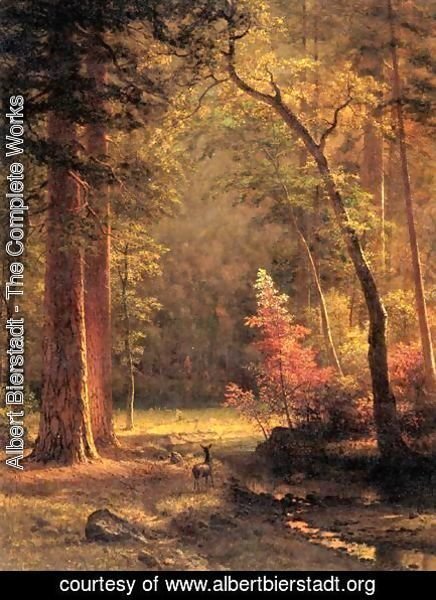 Albert Bierstadt - Dogwood
