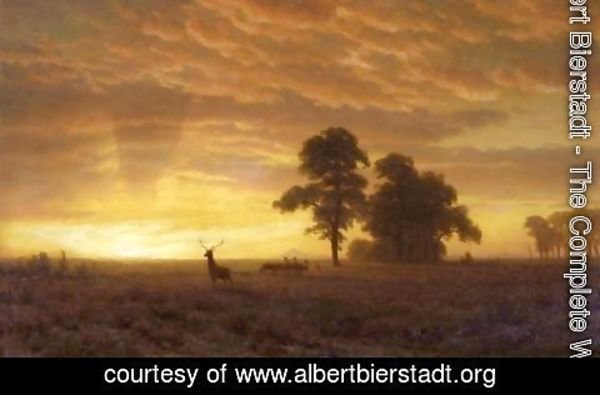 Albert Bierstadt - Wapiti