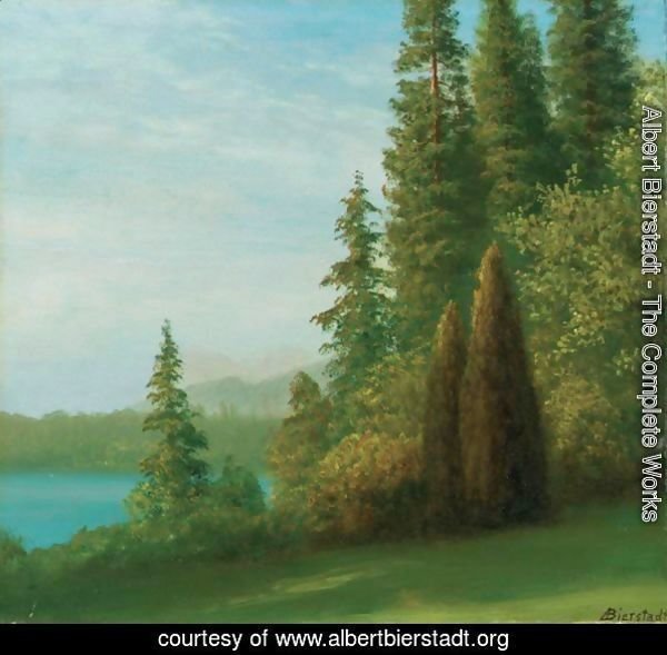 Landscape With Trees And Lake