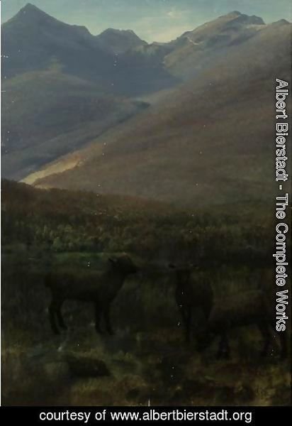 Albert Bierstadt - White Mountains Near Glen House