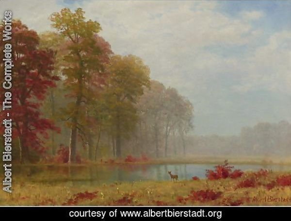 Autumn On The River