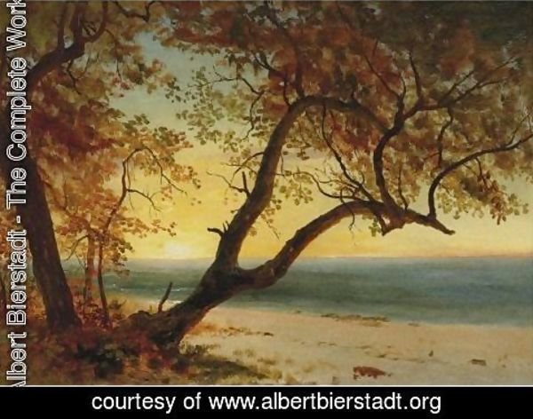 Albert Bierstadt - Landscape In The Bahamas