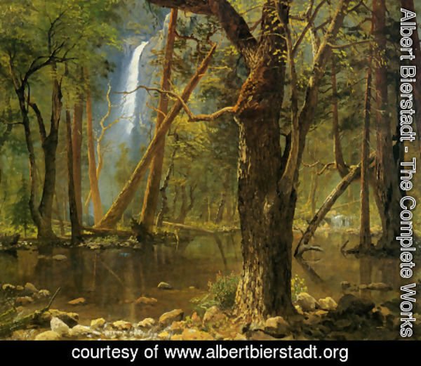 Albert Bierstadt - View in Yosemite Valley