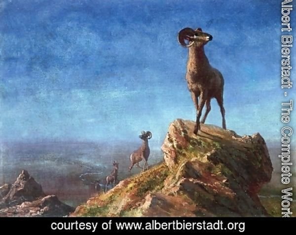 Albert Bierstadt - Rocky Mountain Big Horns