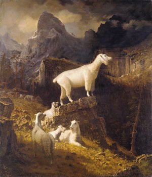 Albert Bierstadt - Rocky Mountain Goats
