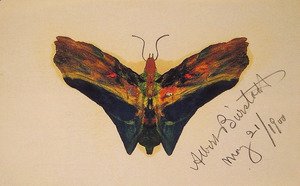 Albert Bierstadt - Butterfly (second Version)