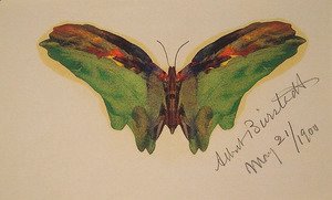 Albert Bierstadt - Butterfly