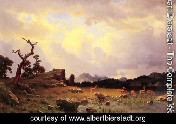 Albert Bierstadt - Thunderstorm In The Rocky Mountains