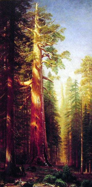 Albert Bierstadt - The Great Trees  Mariposa Grove  California