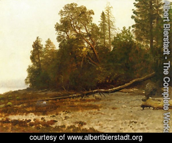 Albert Bierstadt - The Fallen Tree