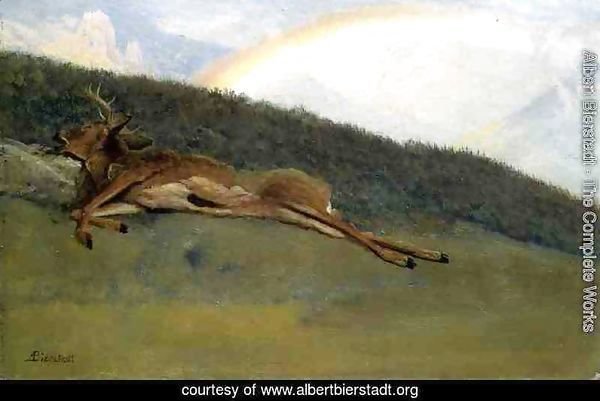 Rainbow Over A Fallen Stag
