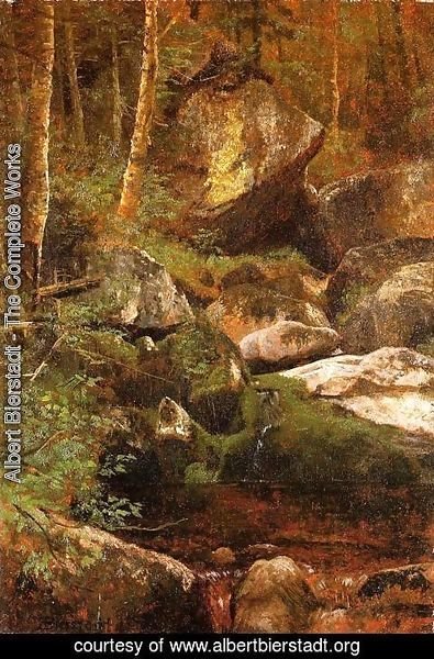 Albert Bierstadt - Forest Stream