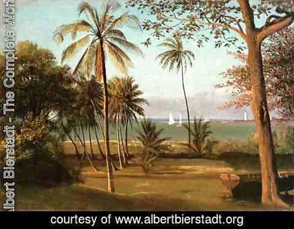 Albert Bierstadt - Florida Scene
