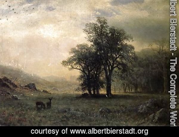Albert Bierstadt - Deer In A Landscape