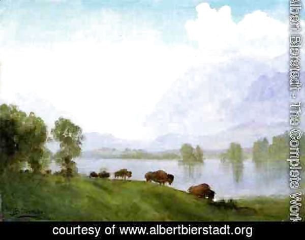 Albert Bierstadt - Buffalo Country