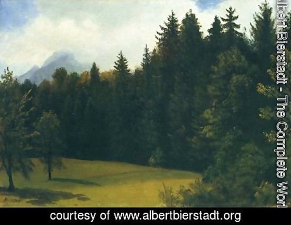 Albert Bierstadt - Mountain Resort