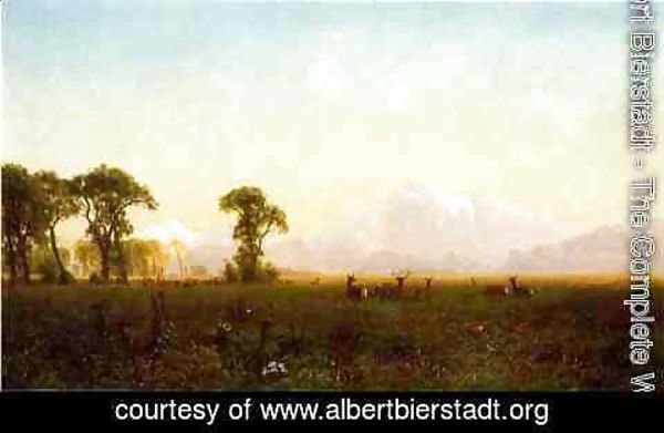 Albert Bierstadt - Deer Grazing  Grand Tetons  Wyoming