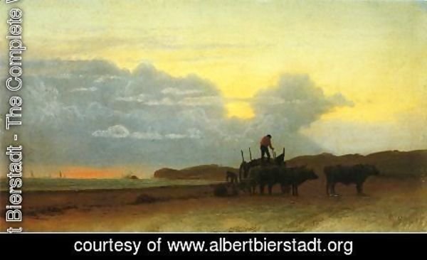 Albert Bierstadt - Coastal View  Newport