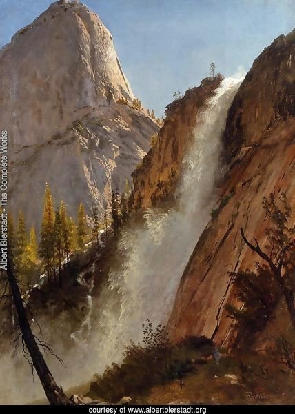 Liberty Cam  Yosemite