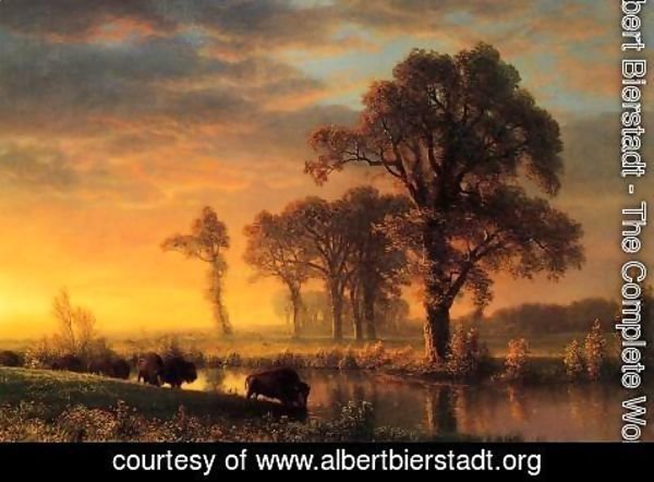 Albert Bierstadt - Western Kansas