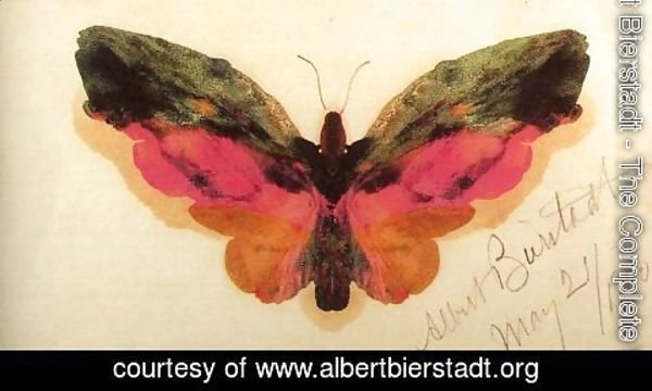 Albert Bierstadt - Butterfly 1900